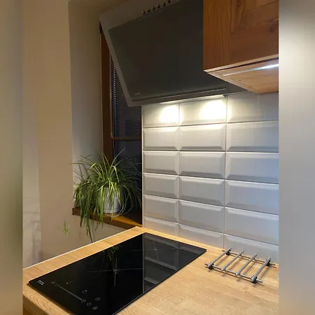 Διαμέρισμα Apartamenty Nad Potokiem Burliga *