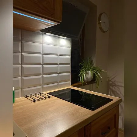 Nad Potokiem Aneta Burliga Apartment Zakopane